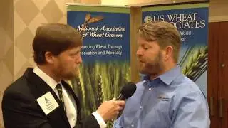 Wheat Prop 65