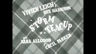 Storm In A Teacup   1937 Full Movie Vivien Leigh & Rex Harrison