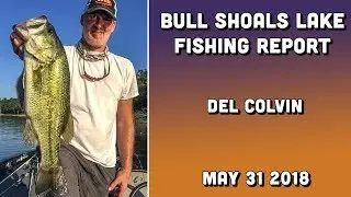 Bull Shoals Lake Fishing Report - Del Colvin