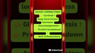 &ldquo;Cortisol ka sabse common NEET trap ⚠️#neet2026 #chemicalcoordination #cortisol #neettrap