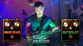 Berserker Electronics Presents: the Autopilot Overdrive & the Moldy Peach Fuzz