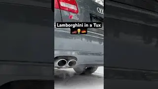 Would You Daily This V10 Audi Sleeper? S8 D3 Still Hits Different #audi #v10