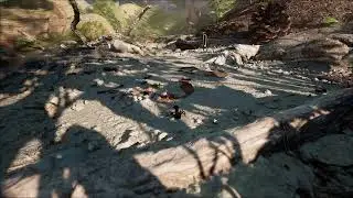 Les fourmis Découverte PS5