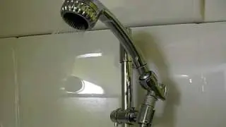 Bricor Hand-held Showerhead