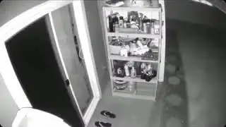 Chicken Skin Hawaii - Shadow caught on camrea (Oahu) video 2