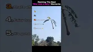 Ranking The Best 