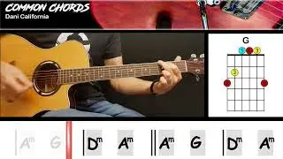 Dani California (ver1) - RHCP || EASY GUITAR LESSON | Scrolling Chords & Lyrics