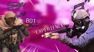 The Modern Warfare Bot Experience.EXE