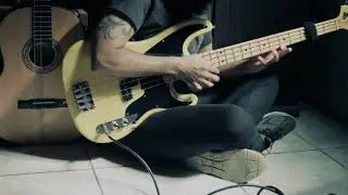 Bass Tapping - EVH style - Tagima Woodstock TW66