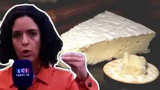 ] YTP Fr [  Manon au brie (collab Showrly)