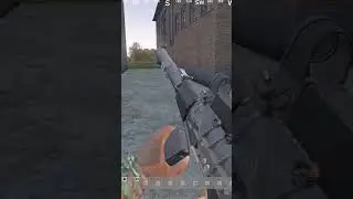 DayZ the Lab shorts