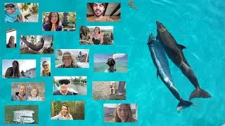 A Message from the WildQuest Crew