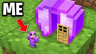 Minecraft, But What&rsquo;s Inside This?