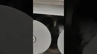 JUTE REMOVER AND MAGNET HOPPER