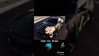 Camo Lambo, Camo Demon, Camo Phantom!#camo #omg #evil #hellcat #srt #youtube #srt #viral #lambo #fyp