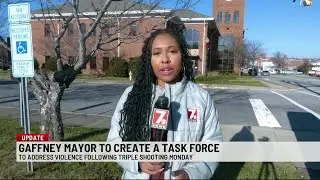 Gaffney mayor to create new violent crime task force