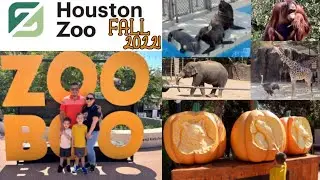 ZOO BOO AT THE HOUSTON ZOO! | HOUSTON ZOO 2022