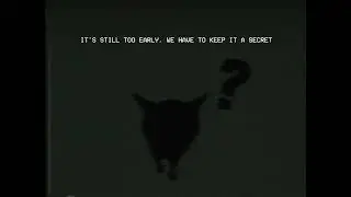 -------_cat.vhs