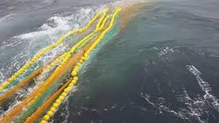 Bacalao Bottom Trawl with Fortis