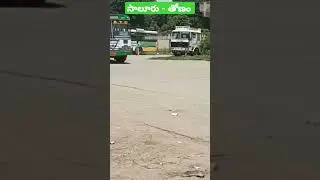Apsrtc Saluru to thonam palle velugu bus #shorts