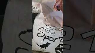 how i feed my dog's for muscle gain no fat #sportsman #bullymax #working #bandog