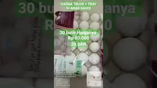 Harga Telor 1 Tray Di Arab Saudi