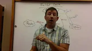 Sulfur Cycle