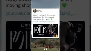 Short film about the dairy industry by Earthling Ed Winters is powerful and moving