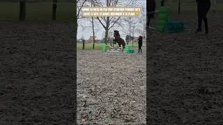Кто кого учит, интересно 🥰 #лошади #конныйспорт #препятствие