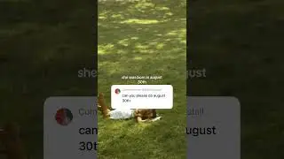 she was born in august 30th (oxxiekaaa on tiktok) #shorts