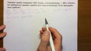 6058