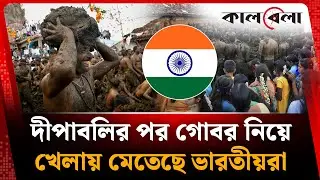 দীপাবলির পর গোবর নিয়ে খেলায় মেতেছে ভারতীয়রা | Indian cow dung festival | Kalbela