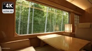 Bamboo Forest Train Window View (4K) | Side Window Ride + Real Rail Sounds (No Music) (1 Hour)