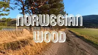 Norwegian Wood (This Bird Has Flown) - The Beatles - Reprise