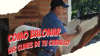como BALONAR tu caballo..🐴🐴