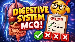 Digestive System MCQ 🔥| Test Your Biology Knowledge