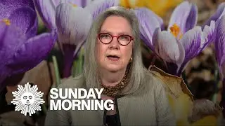 An Easter prayer, for peace