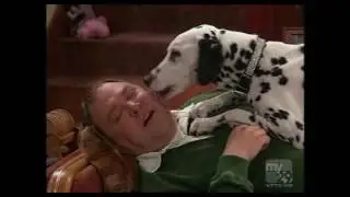 Still Standing Season 1 Episode  20  Still Petting