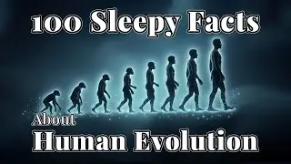 The Most Relaxing Facts About Evolution and Life to Fall Asleep To