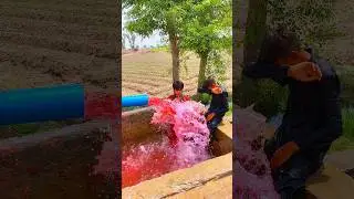 borang sa Kiya nikla #islamic #ytvideo #vfx #indiapakistan #usa #pakistan