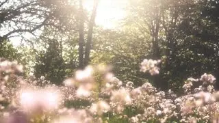 ༄ 𝑯𝒆𝒂𝒍 𝑻𝒉𝒆 𝑾𝒐𝒓𝒍𝒅 (𝐶𝑢𝑟𝑒 𝑜 𝑚𝑢𝑛𝑑𝑜) ༄  𝐒𝐔𝐁𝐋𝐈𝐌𝐈𝐍𝐀𝐋