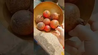 Harvesting fruits from my terrace garden🪴🧿 #harvesting #gardeningideas #gardeningtips #garden