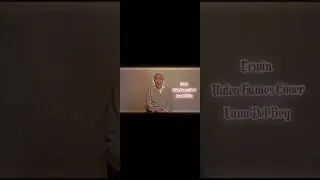 Erwin - Video Games - Lana Del Ray Cover