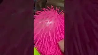 pufferbal#short video #viral#pufferbal