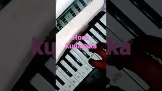 Rosa kudayaka
