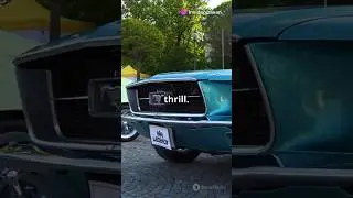 Top 5 countries for car lovers||Raxansays||caredit||car enthusiasts||countries||world