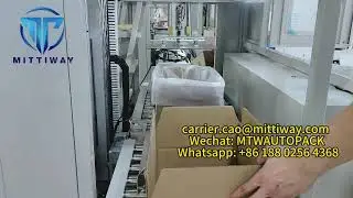 Bag In Box Inserter Screws, nuts and hardware accessories wholesale packaging machine FCL packaging