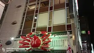 Crab Moving @ Osaka Japan