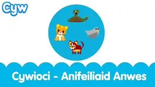 Cywioci - Anifeiliaid Anwes | Sing along to the Cyw Pets Song! Welsh Songs for kids