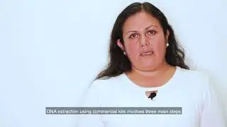 6. Molecular biology techniques for identification and characterization AMR genes